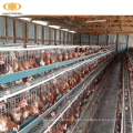 Multi-Tiers Chicken Geflügelfarm Batterie Hühnerschicht Käfig